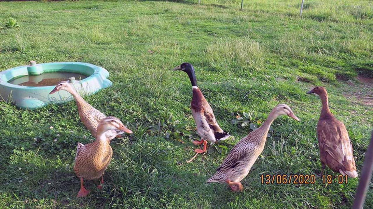 Casa Roja Villa Hilders Dış mekan fotoğraf
