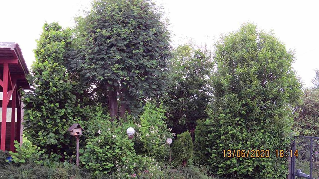 Casa Roja Villa Hilders Dış mekan fotoğraf